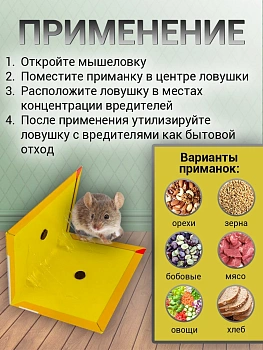 Клеевая мышеловка без яда
