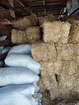 Солома в мешке 60л. (2025 г.)