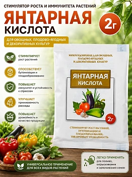 Янтарная кислота