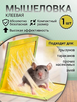 Клеевая мышеловка без яда